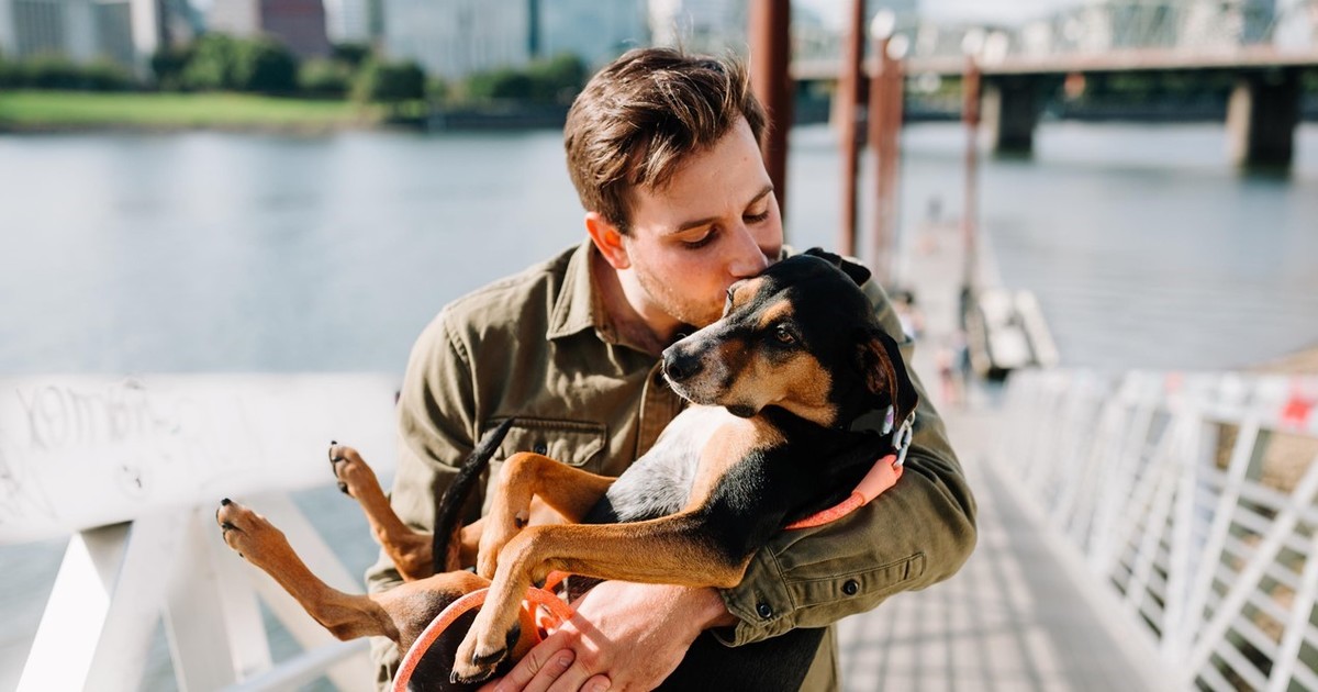 Verdict Is In – Here’s The #1 Way To Help Eliminate Your Pup’s Allergies