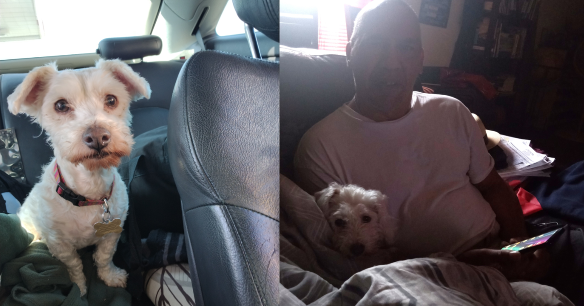 You Helped Feed This Poor Pup After His Human Had a Stroke