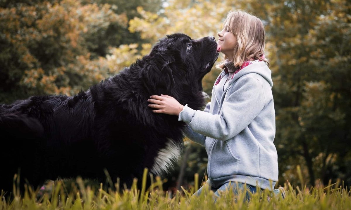 The Ultimate 11 Dog Breeds That Have Been Loyal Companions For Centuries