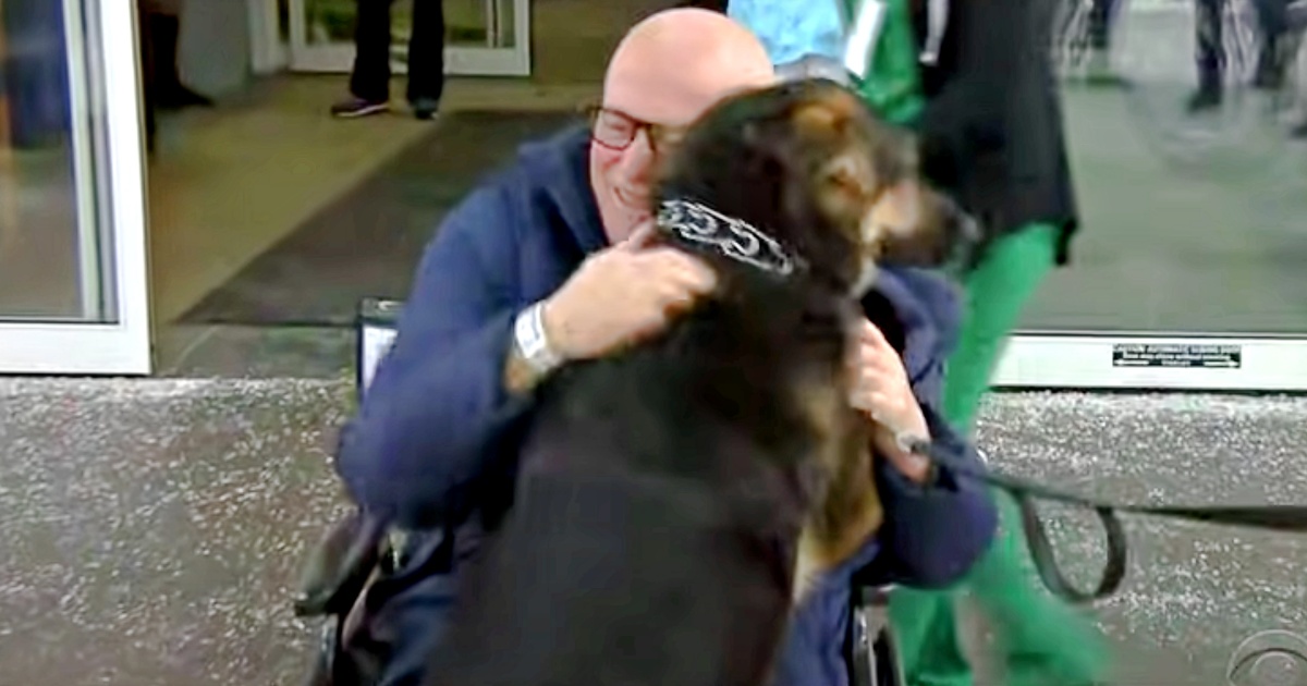 Man Adopts A Dog Even Shelters Wouldn’t Take, And ‘Saves His Savior’