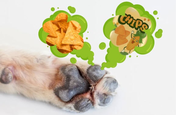 Get Rid of That Corn Chip Smell!