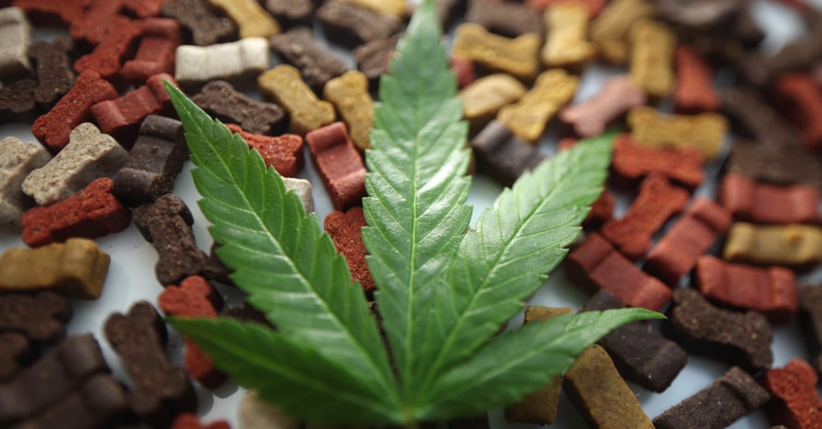 Stop the Propaganda: CBD is NOT “Doggie Pot”