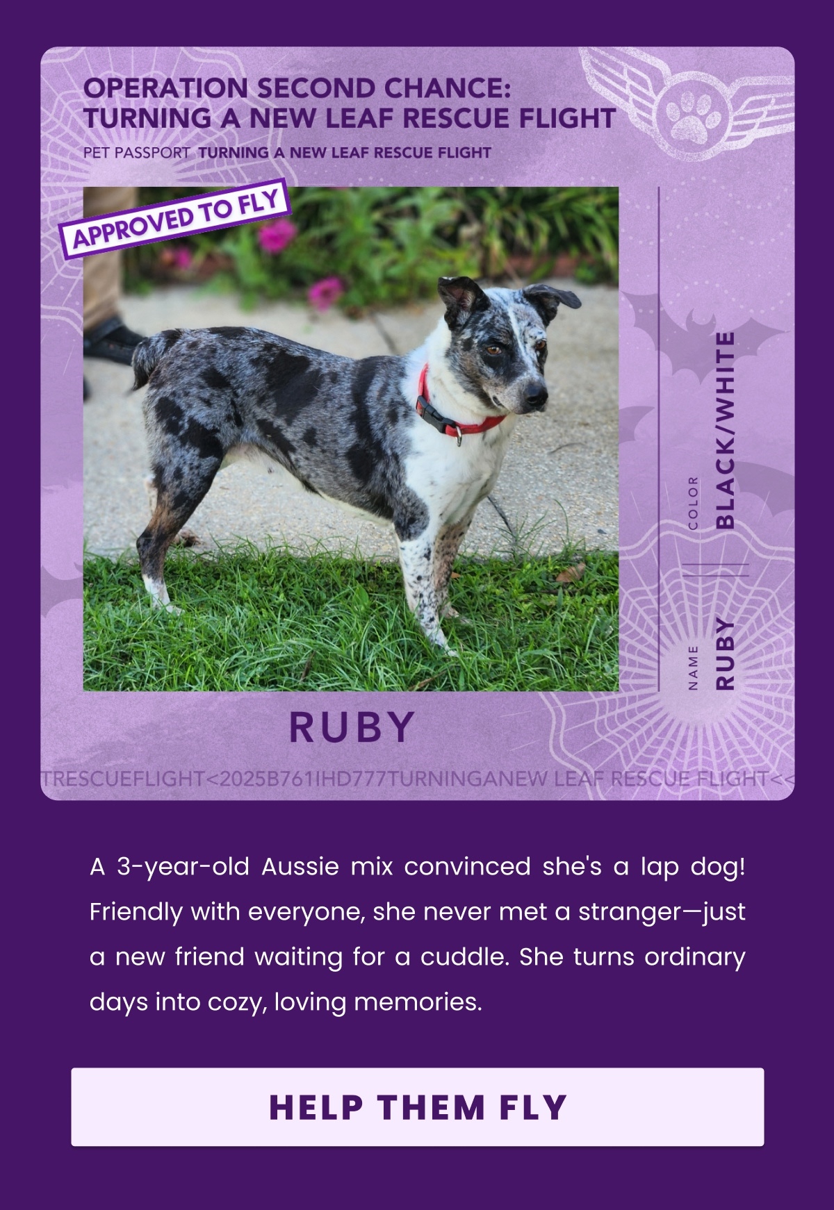 RUBY