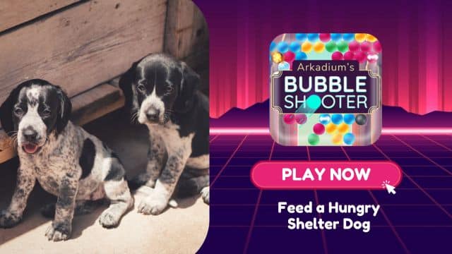 Turn Fun into Food: Play Games, Support Shelter Dogs!