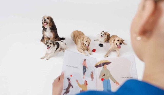 More Than a Pet Store: Inside PetSmart’s Pet Services