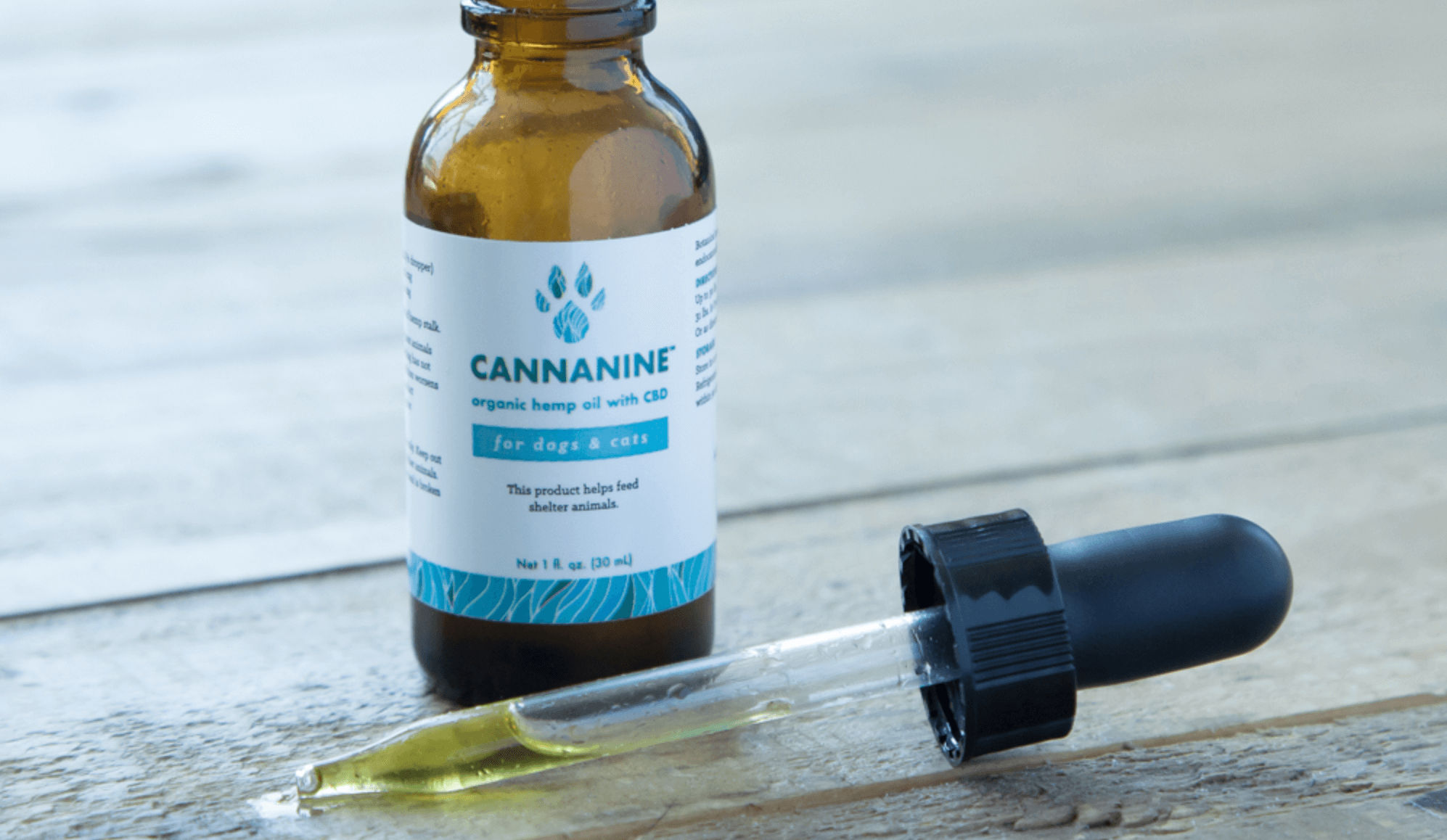 Can I Give Human CBD Oil to My Dog?