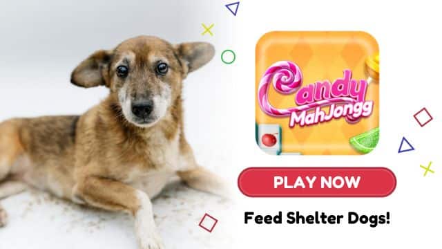 Your Game Time = Meals for Shelter Dogs!
