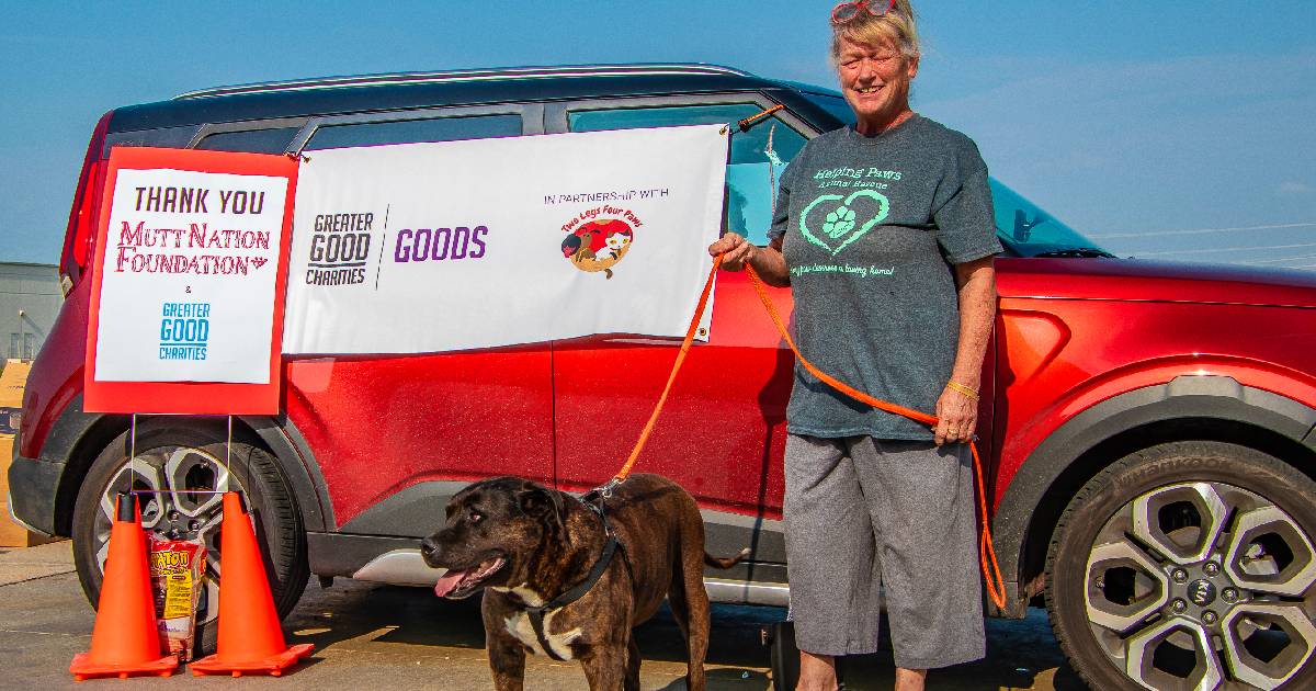 Duke Was Thrown From A Moving Car, But Now He’s Healed Thanks To YOU