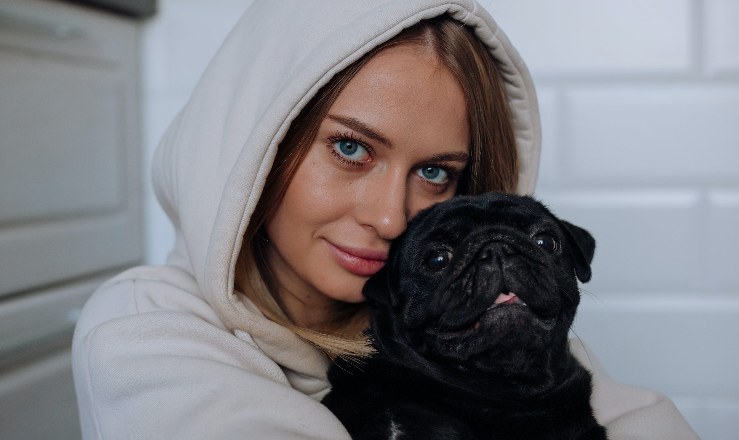 10 Dog Breeds That Thrive on Human Companionship