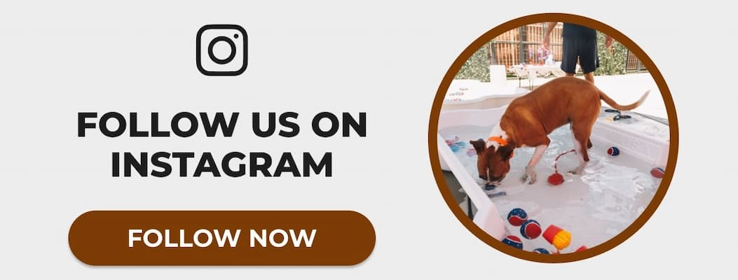 FOLLOW US ON INSTAGRAM
