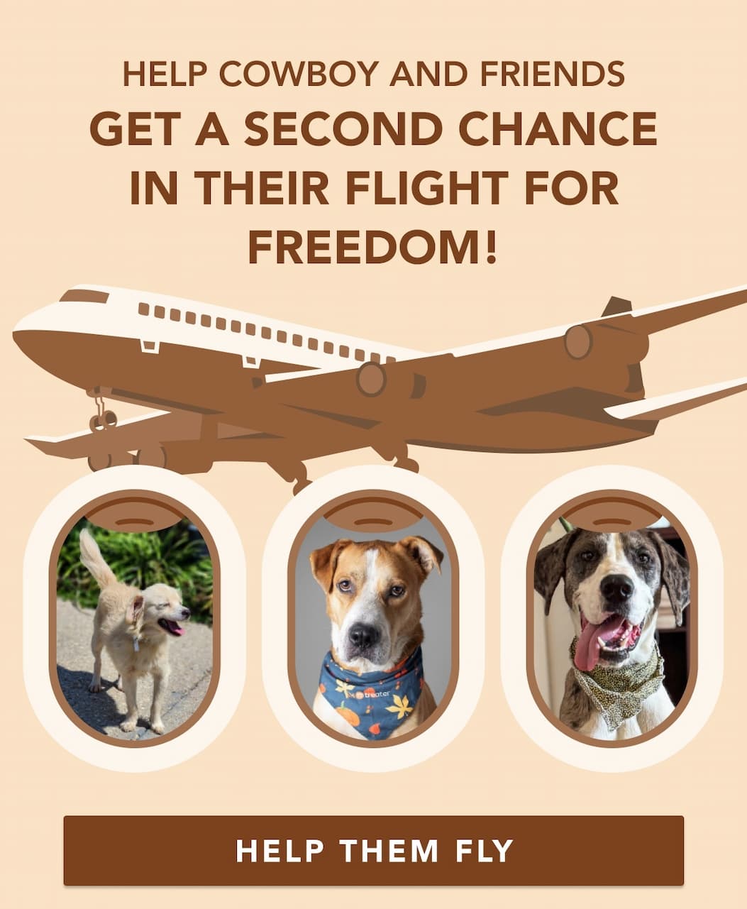 HELP COWBOY AND FRIENDS GET A SECOND CHANCE IN THEIR FLIGHT FOR FREEDOM!