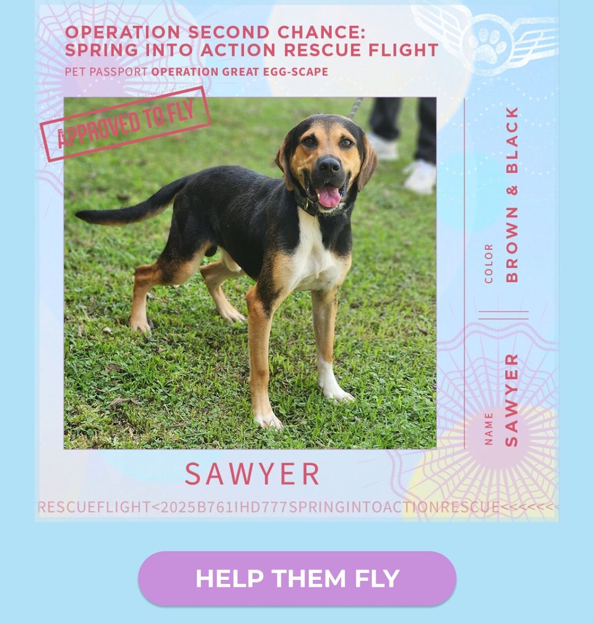NAME SAWYER - COLOR BROWN & BLACK - HELP THEM FLY