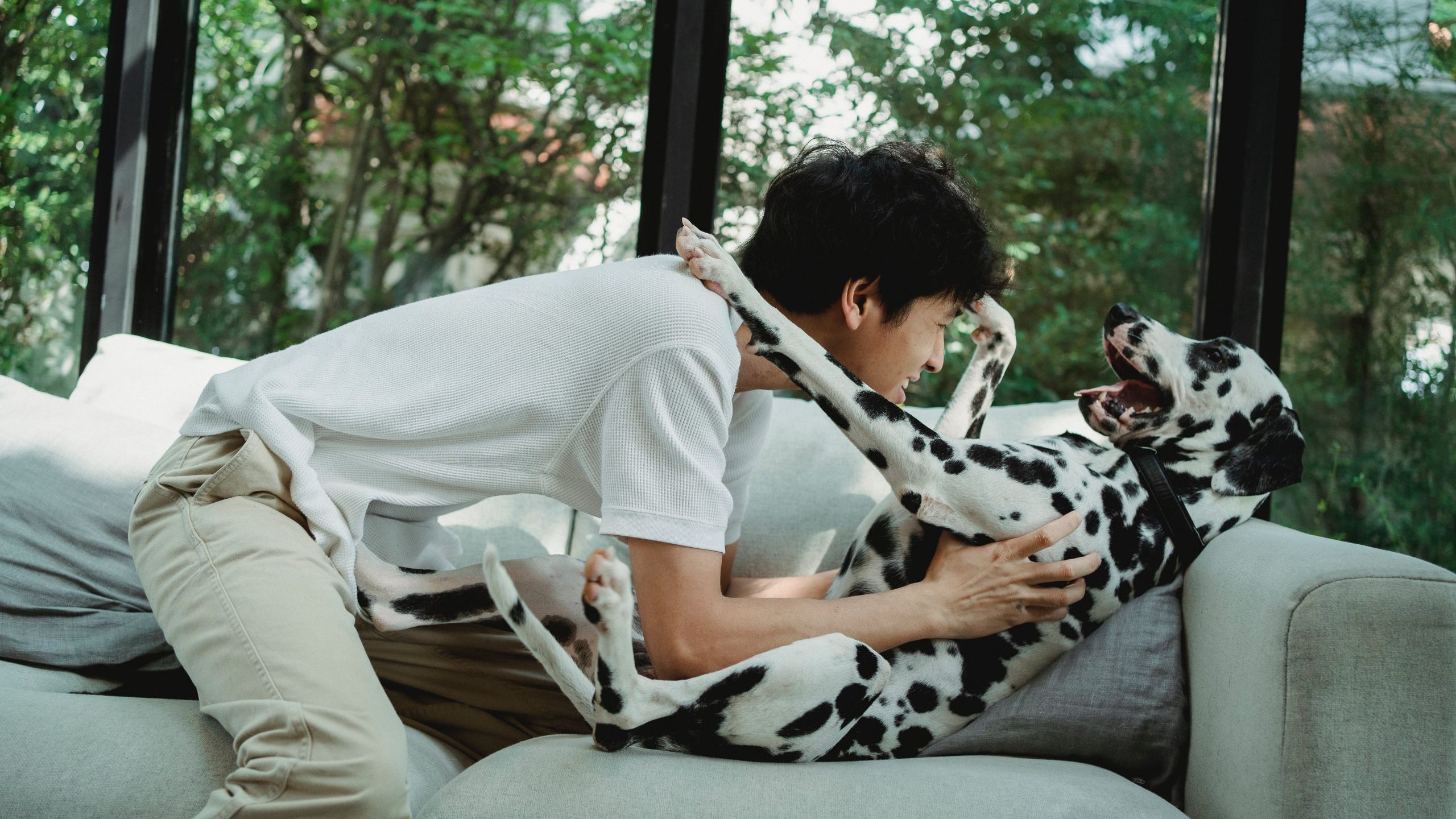 15 Dog Breeds with the Most Playful and Cheerful Personalities