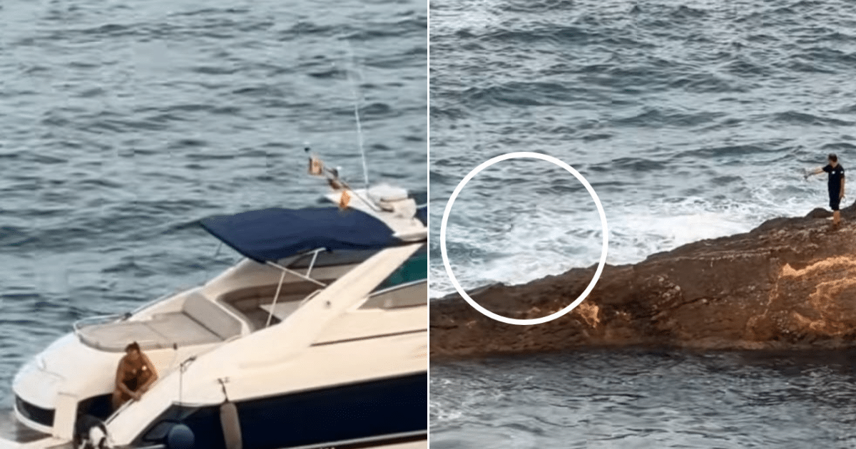 Dog’s Dramatic Swim Back to Land in Ibiza Captivates Millions Online