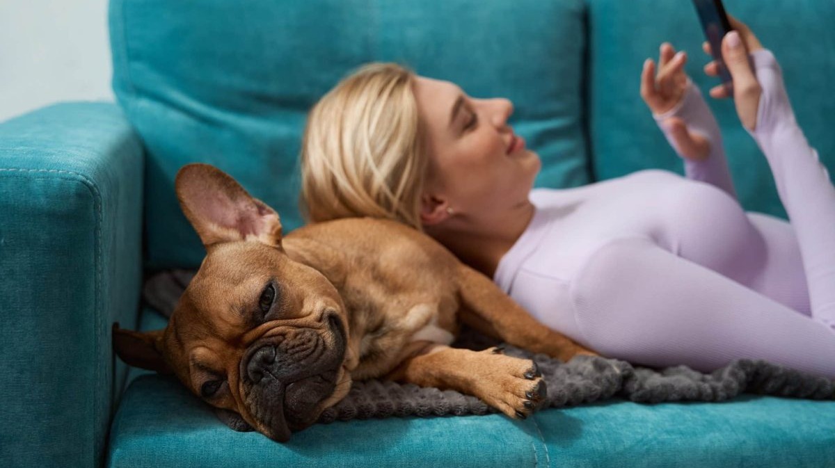 If You Have One of These Dog Breeds, You Need Pet Insurance