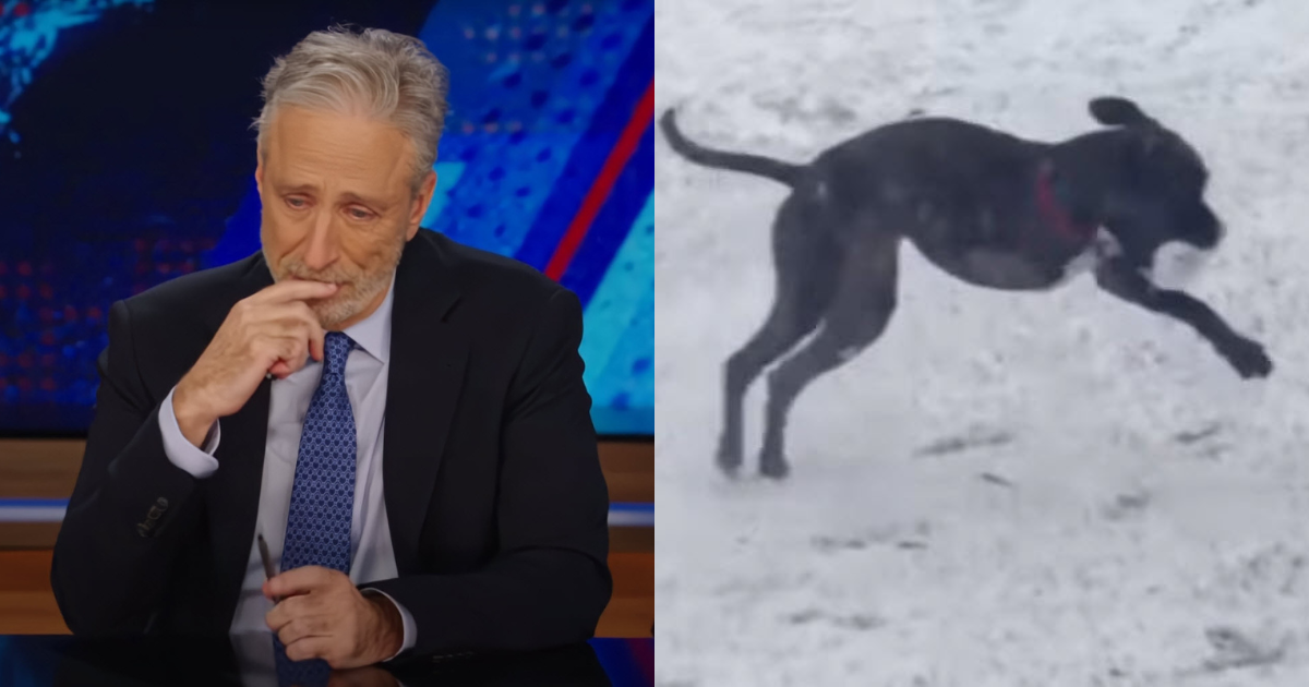 Jon Stewart Shares Heartfelt Tribute to His ‘Best Boy’ Dog, Dipper, on The Daily Show