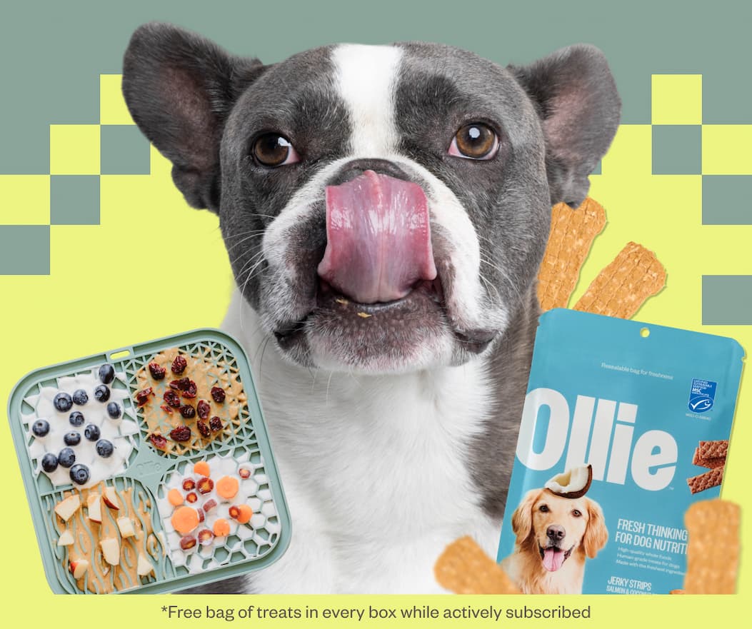 Free bag of treats in every box while actively subscribed