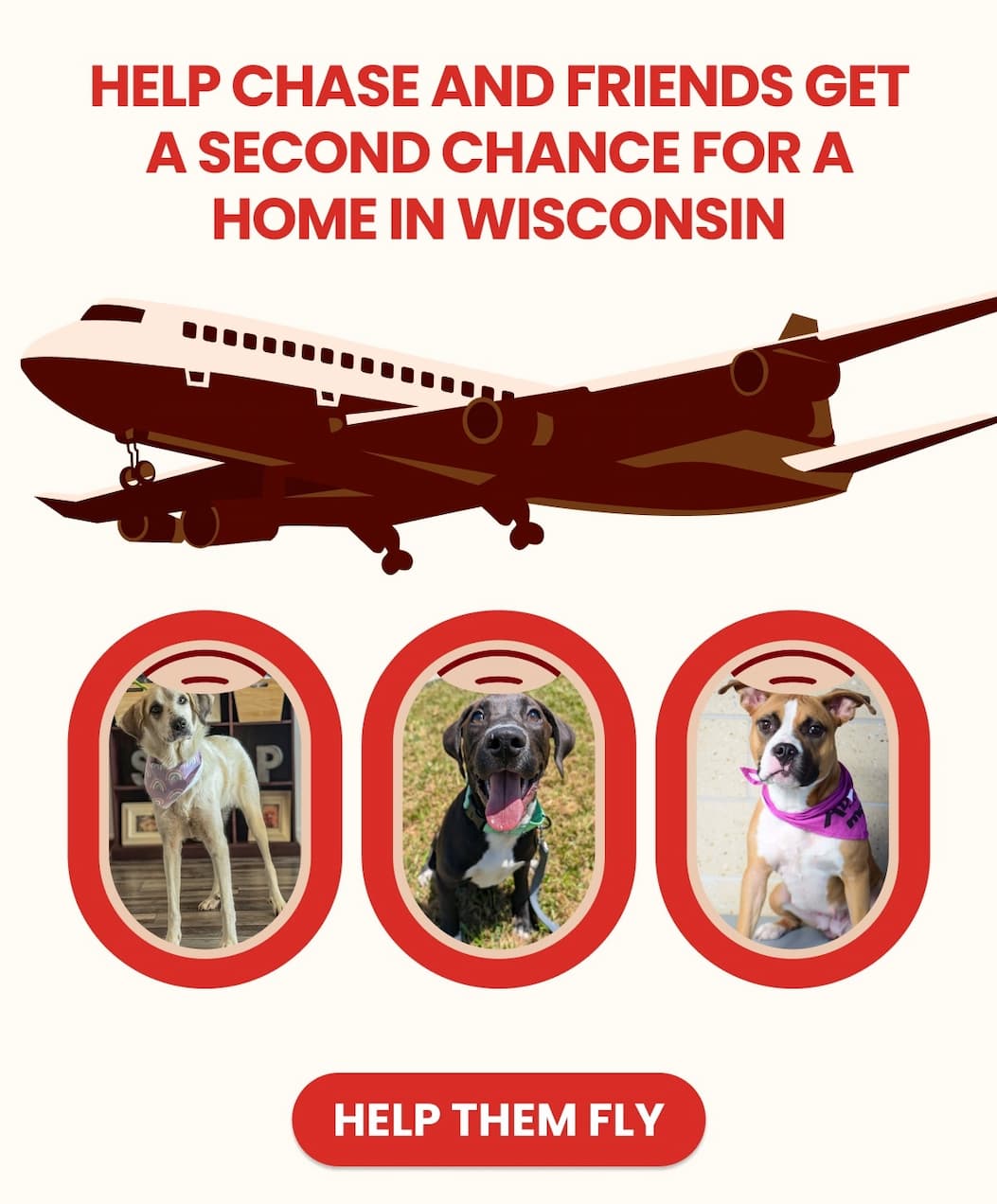 HELP CHASE AND FRIENDS GET A SECOND CHANCE FOR A HOME IN WISCONSIN