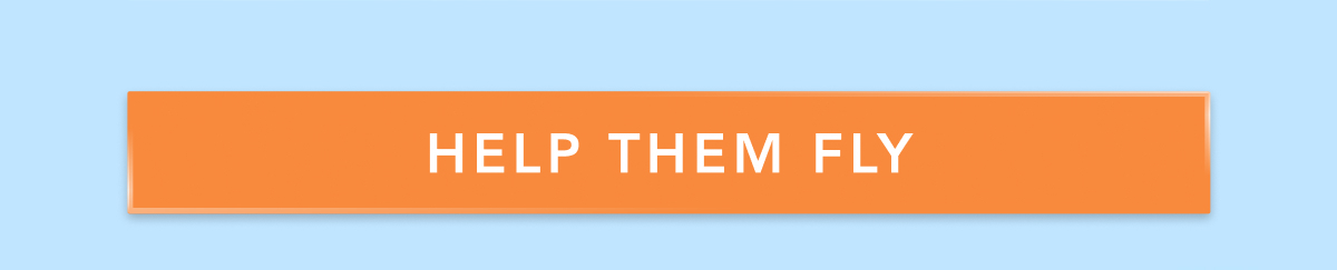 HELP THEM FLY