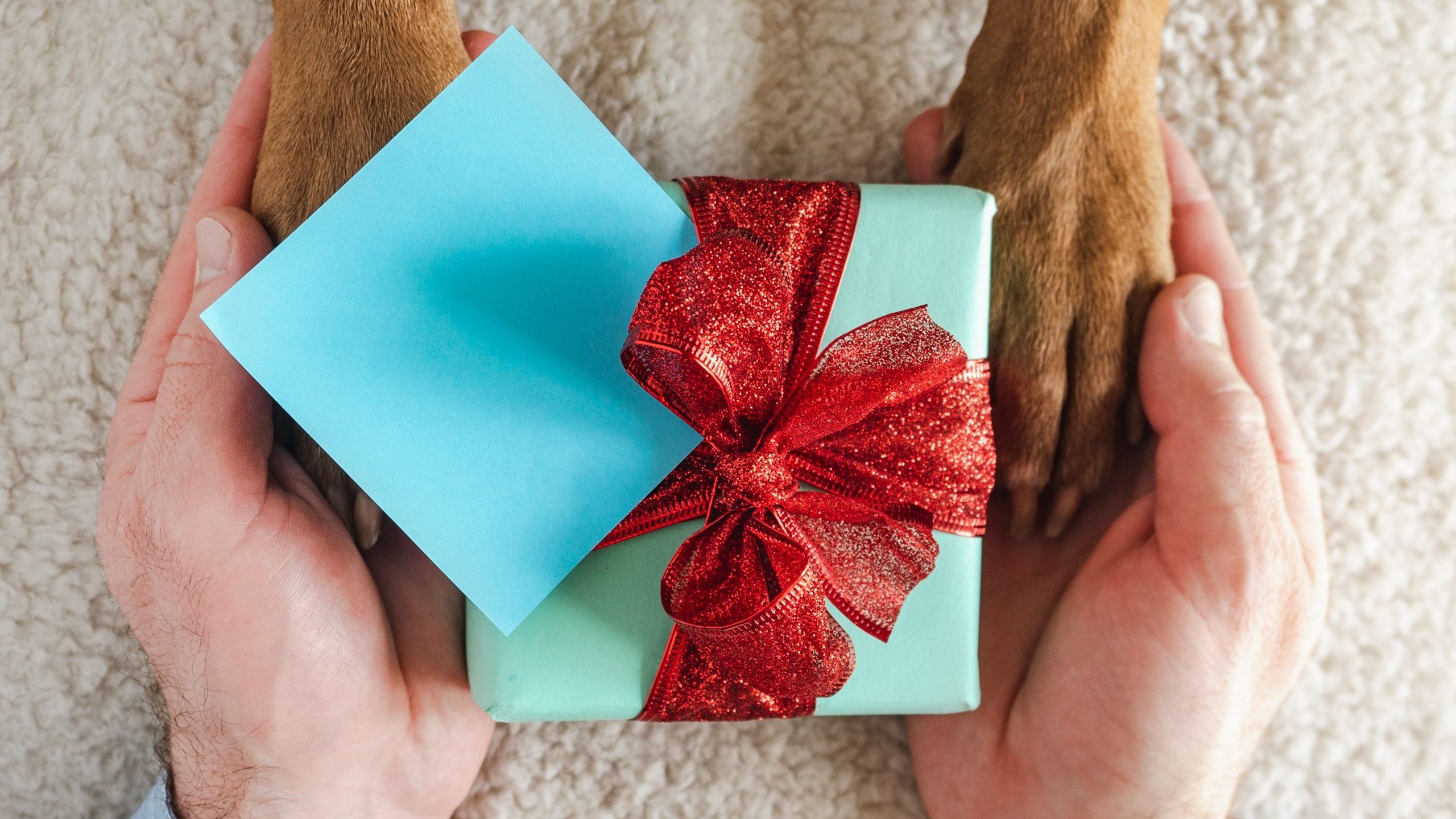 Find the Perfect Gift for the Dog-Obsessed
