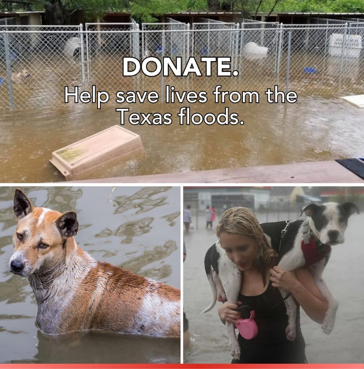 DONATE. Help save lives from the Texas floods.