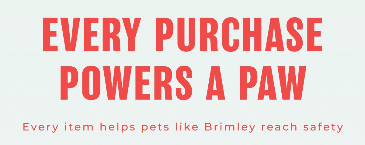Every Purchase Powers a Paw - Every item helps pets like Brimley reach safety