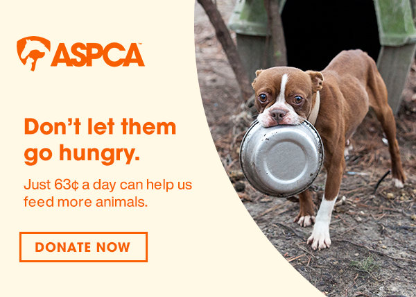 Don't let them go hungry.