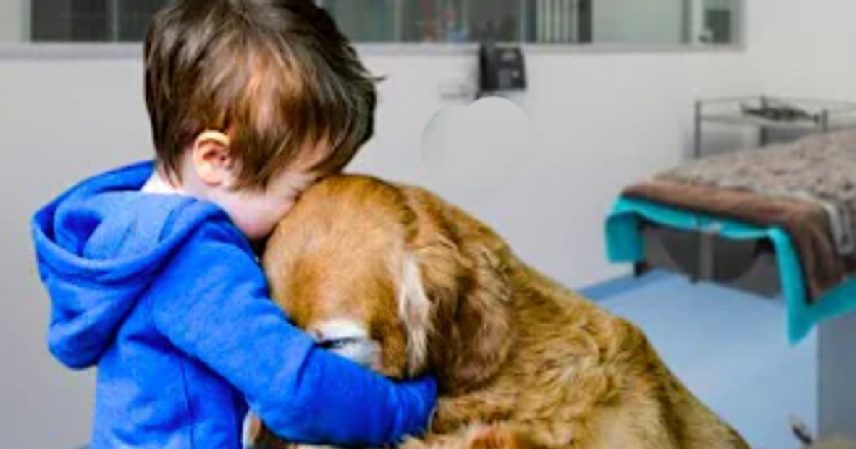 Little Boy Held His Dog With Cancer Tight And That Hug Did 'The Impossible'