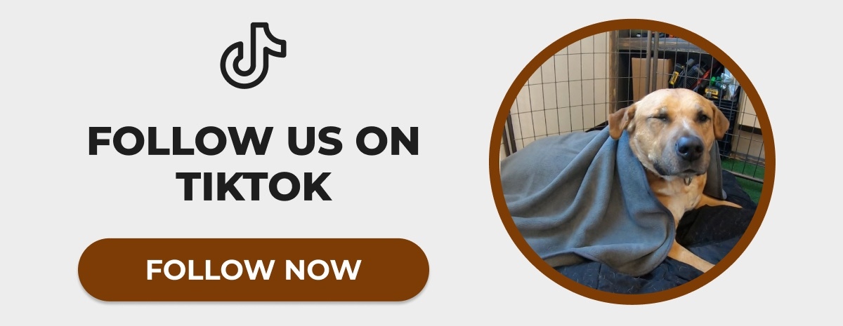 FOLLOW US ON TIKTOK