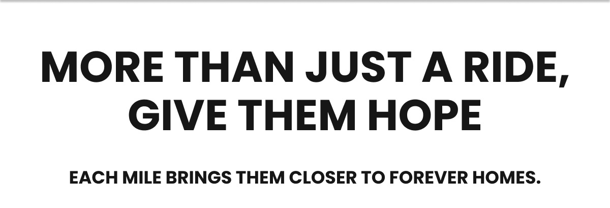 More Than Just a Ride, Give Them Hope - Each mile brings them closer to forever homes.