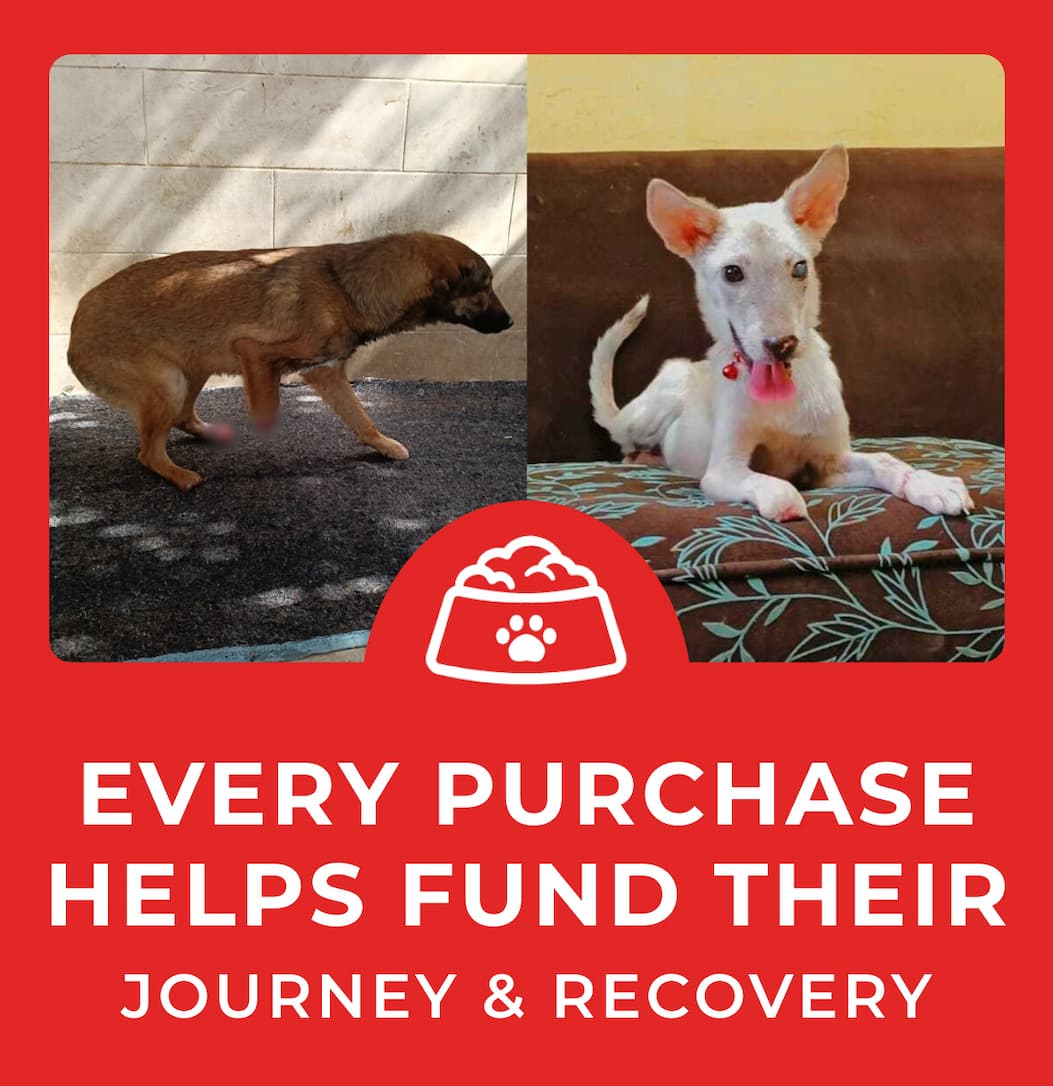 Every Purchase Helps Feed Hungry Shelter Dogs