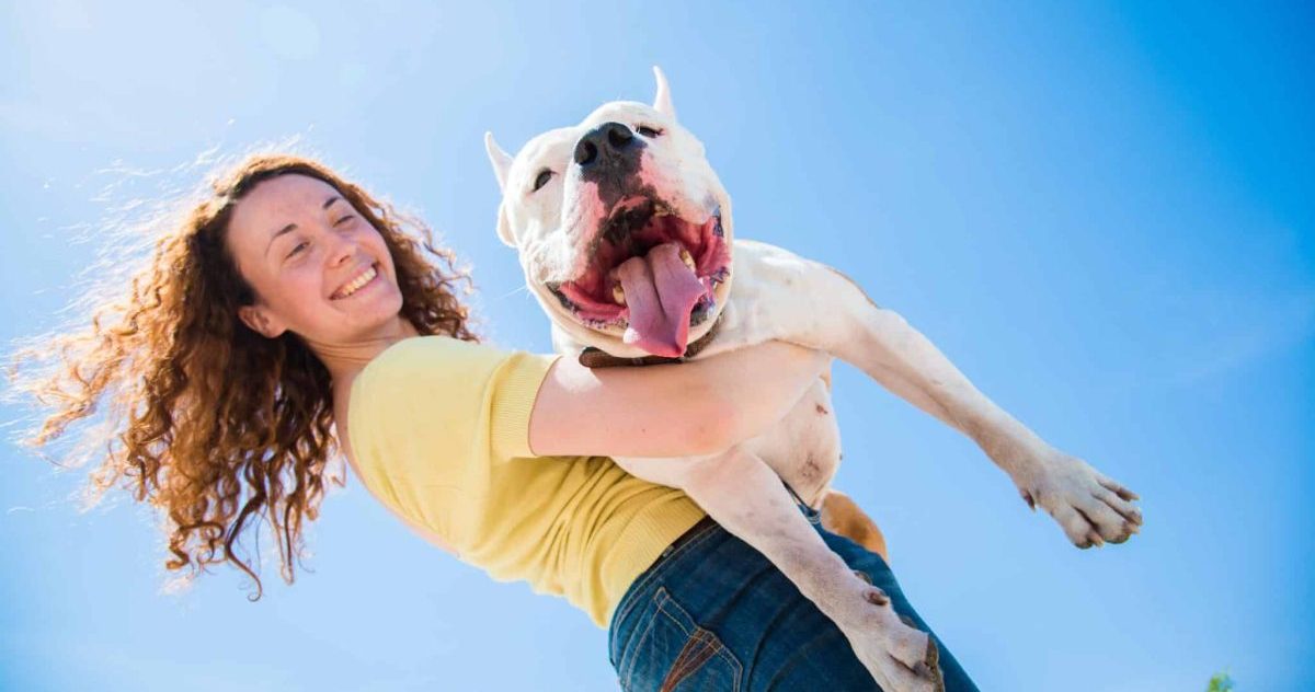 9 Myths About Pet Insurance That Are Costing You Money