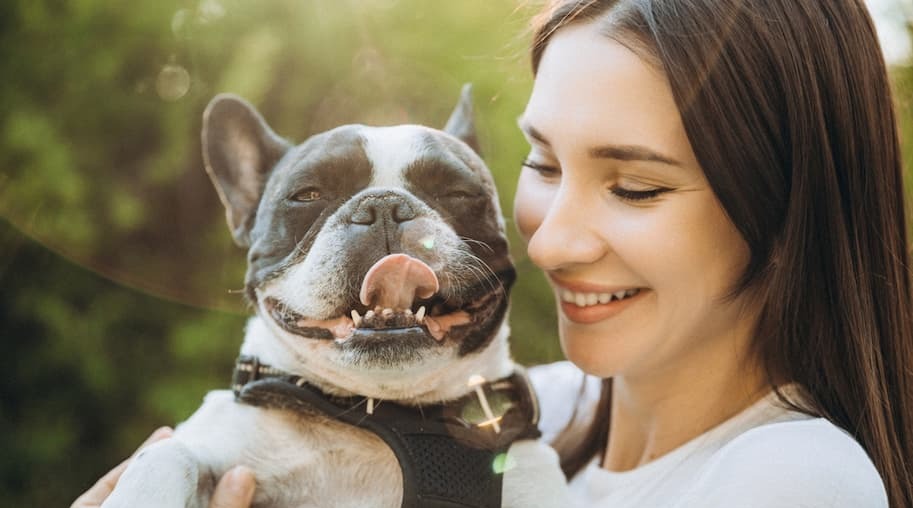 The Best Dog Dental Hygiene Hack Your Pup Will Love