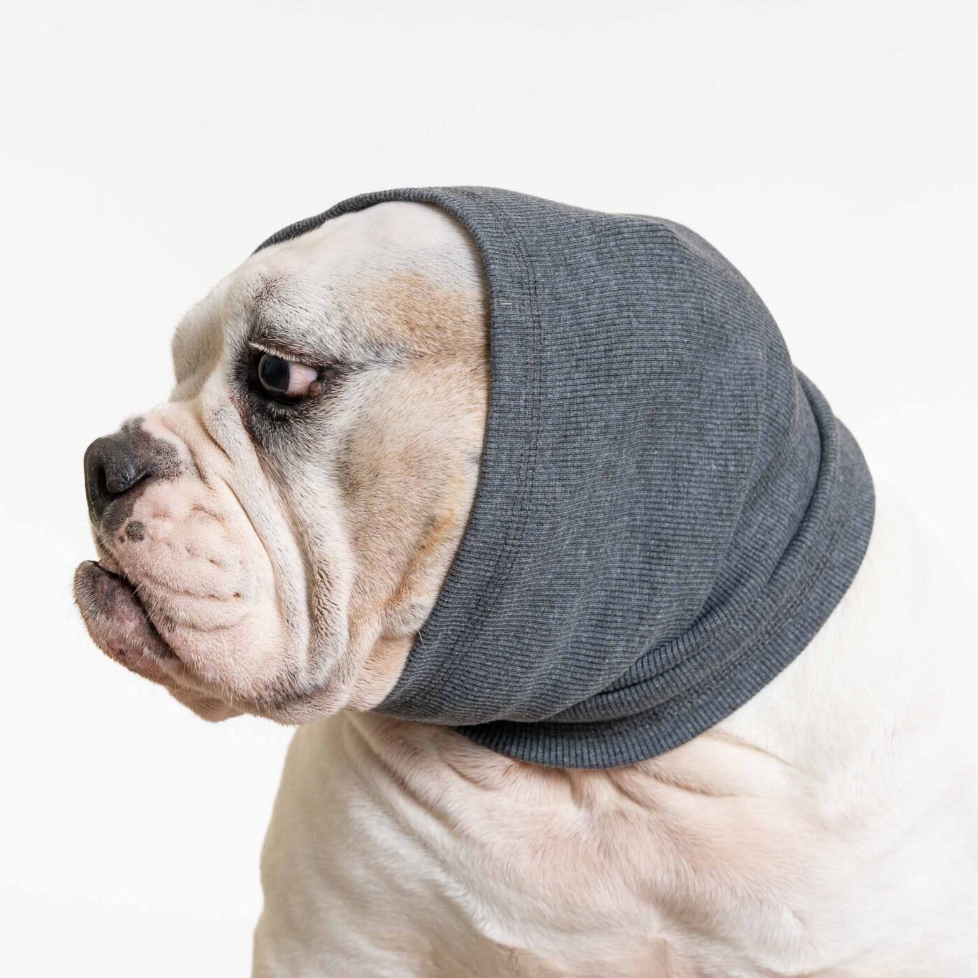iHeartDogs Quiet Ears Hoodie Headband For Dogs, Calming Noise Ear Protection – Helps with Anxiety (Small, Medium or Large) – Deal 23% Off!