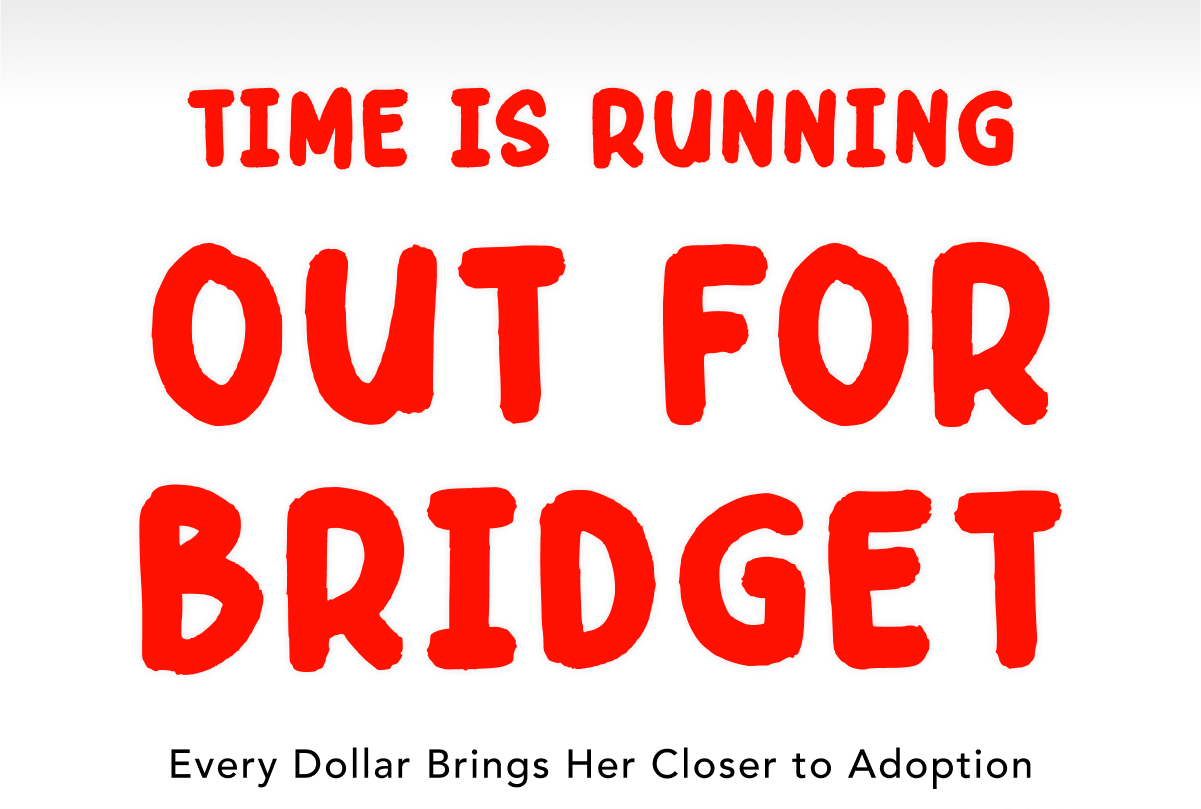 Time Is Running Out for Bridget.