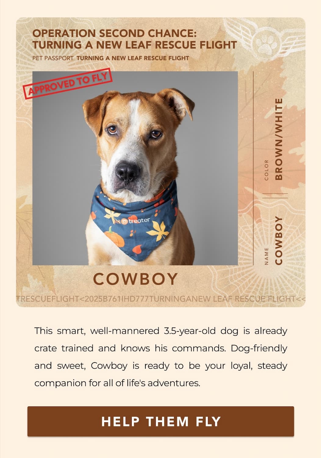 COWBOY - This smart, well-mannered 3.5-year-old dog is already crate trained and knows his commands. Dog-friendly and sweet, Cowboy is ready to be your loyal, steady companion for all of life's adventures. - HELP THEM FLY