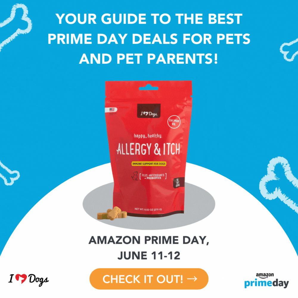 Guide to the Best Prime Day Deals for Pets and Pet Parents
