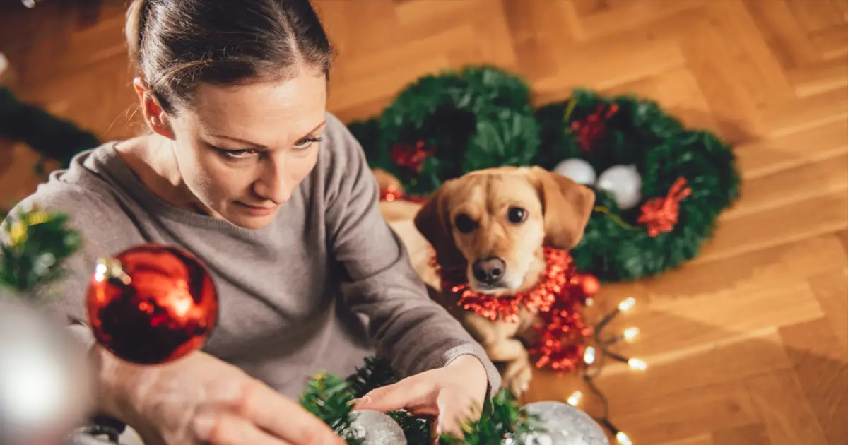 10 Best Dog Ornaments For A Canine-Themed Christmas Tree