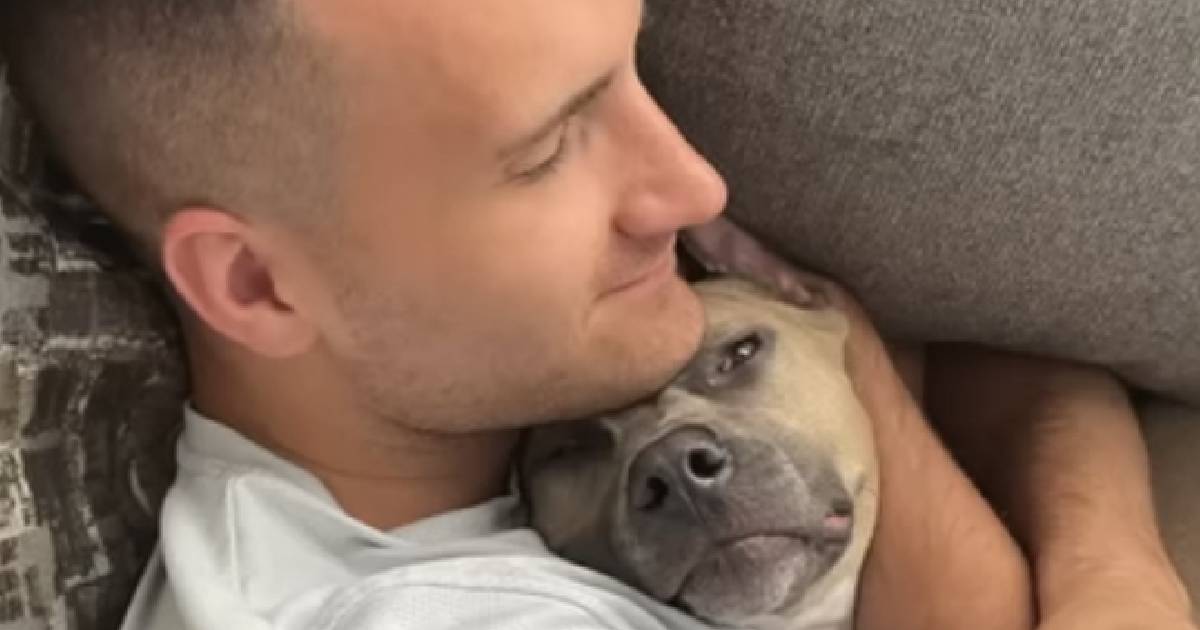 Couple Discovers ‘Surprise’ About Pit Bulls No One Warned Them About Before Adopting