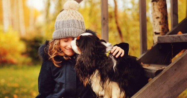 The 10 Most Affectionate Dog Breeds On Earth