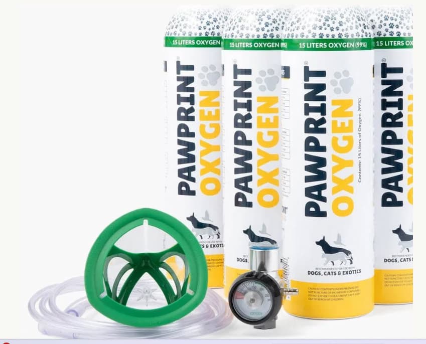 With Pawprint Oxygen, you’ll be ready when they need you most.