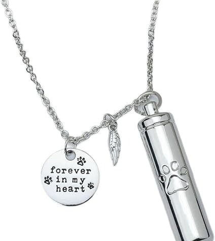 iHeartDogs Dog Urn Necklace - 'Forever In My Heart' Memorial Stainless Steel Pet Ashes Jewelry