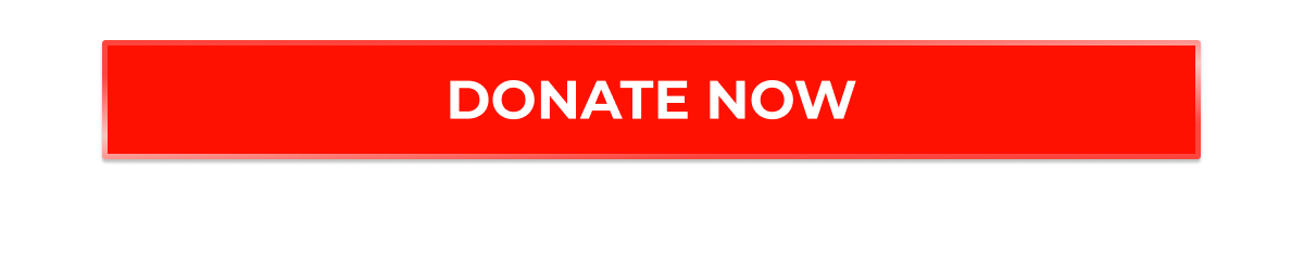 DONATE NOW