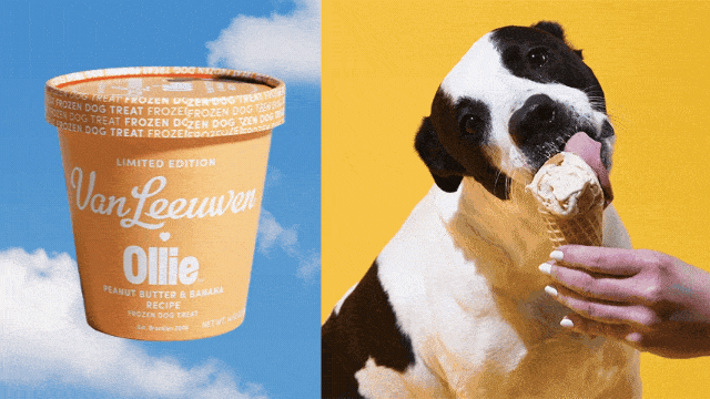 Treat your dog to a sweet gift from Ollie for National Dog Day!