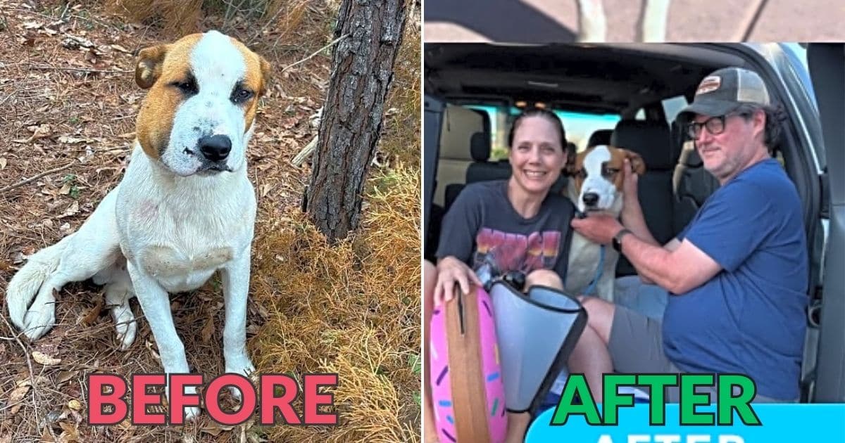 Cain’s Journey From Heartbreak to Healing