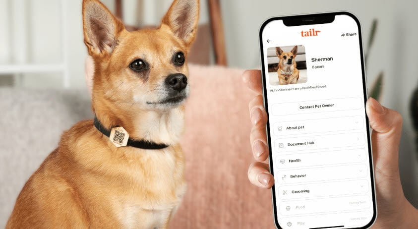 Tailr Is The Solution You Didn’t Know You Needed