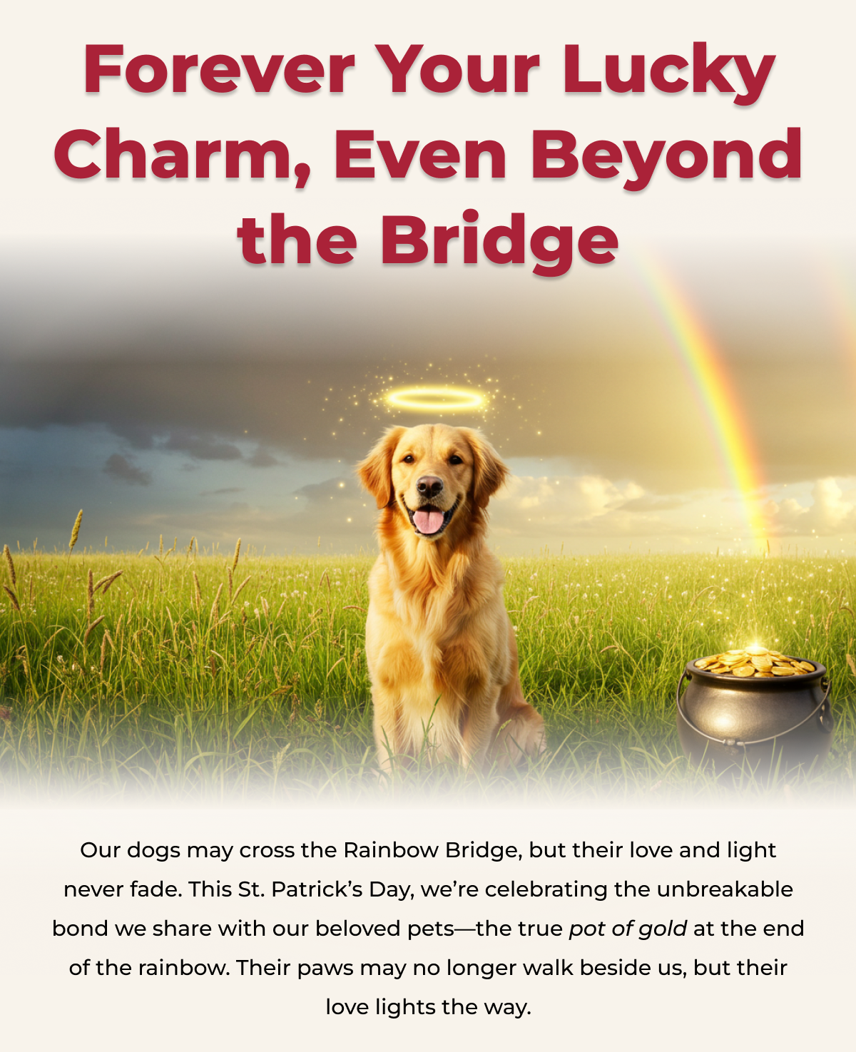 Forever Your Lucky Charm, Even Beyond the Bridge-Our dogs may cross the Rainbow Bridge, but their love and light never fade. This St. Patrick’s Day, we’re celebrating the unbreakable bond we share with our beloved pets—the true pot of gold at the end of the rainbow. Their paws may no longer walk beside us, but their love lights the way.