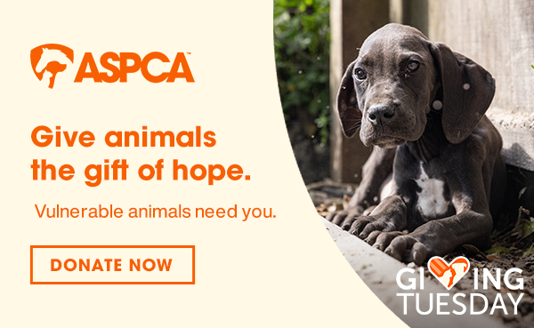 Give animals the gift of hope.