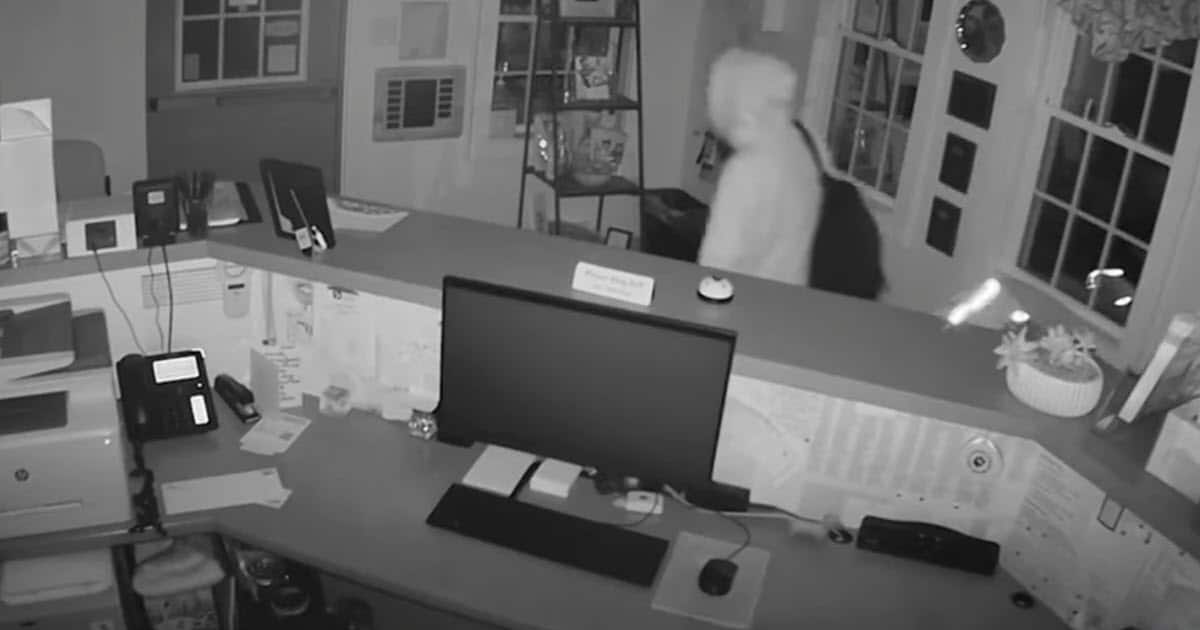 Surveillance Catches Suspect Stealing Kittens From Animal Shelter