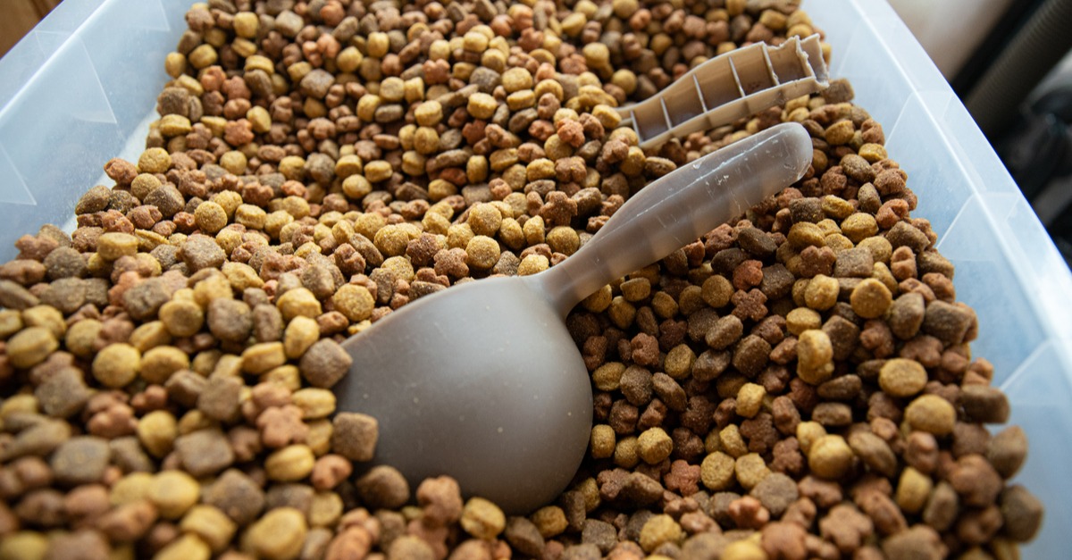 7 Surprising Things To Know About Kibble